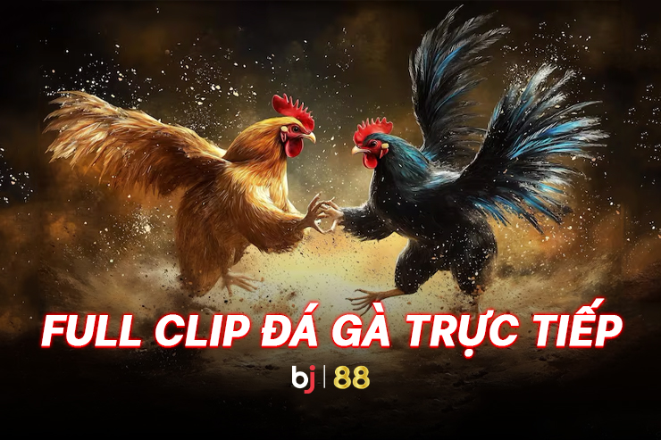betvnd - Hướng dẫn chi tiết để truy cập và trải nghiệm casino trực tuyến an toàn nhất
